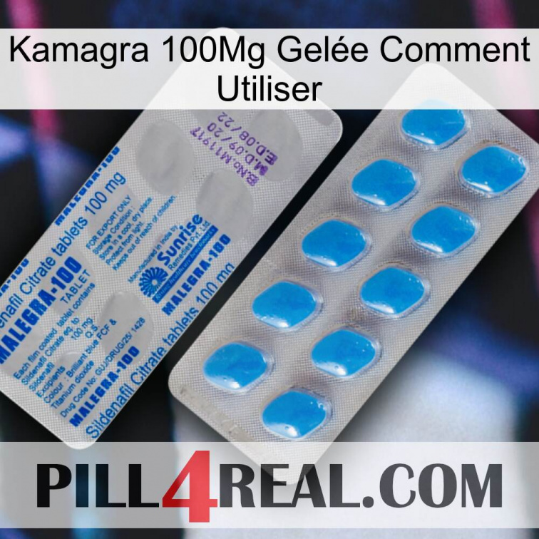 Kamagra 100Mg Gelée Comment Utiliser new15